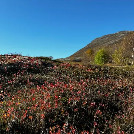 Family & Guest Favourite, Near Hardanger And Voringsfossen Casa vacanze Maurset