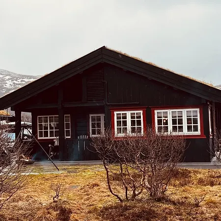 Family & Guest Favourite, Near Hardanger And Voringsfossen *